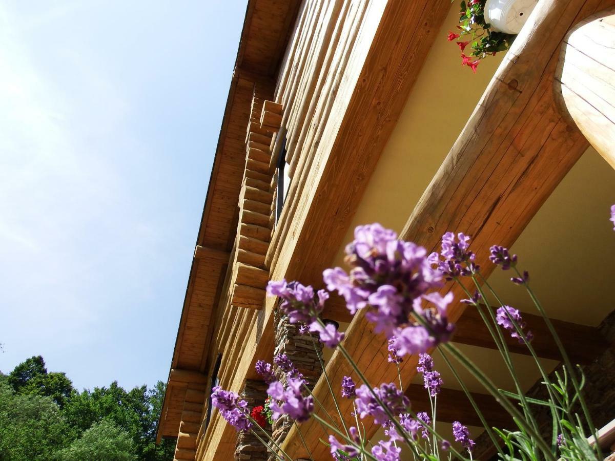 Casa Din Vale Hotel Sacuieu Exterior photo